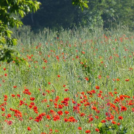 Au Ptit Coquelicot Houyet Exterior foto